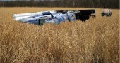 The year-old wreck of a tractor-trailer that was carrying rare prairie grass seeds provides an unorthodox environment for a fragile ecosystem.