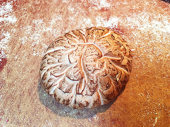 shiitake mushroom from Flying Mouse Farms