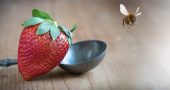 The annual Strawberry Festival will be held on Friday and Saturday, June 7 and 8, and will be kicked off with a Cutting Bee on Friday morning.