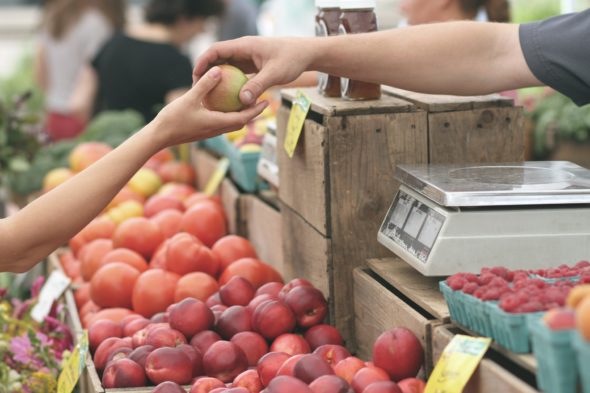 EBT card users will soon be able to use their cards to purchase goods at the YS Farmers Market.