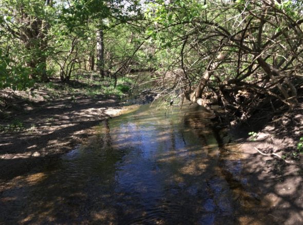 A collaboration among Community Solutions, Tecumseh Land Trust and the Nature Conservancy was undertaken in 2017 to help restore — and "re-meander" — Jacoby Creek. (Photo via Community Solutions, communitysolution.org/new-gallery)