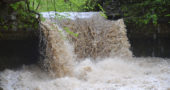 On the morning of Friday, May 3, Yellow Springs received a deluge of rain. Both Yellow Springs Creek and Birch Creek rushed rapidly on their muddy courses through the Glen Helen Nature Preserve. At top, Birch Creek cascades on May 3. (Photos by Megan Bachman)