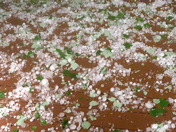 Village resident Bryan Cady submitted this photo Tuesday morning of the aftermath of Monday evening's tornadic activity: hail the size of  large marbles and golf balls. 