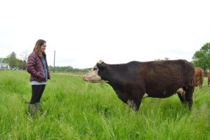 Jillian Marshall in the field with one of her cows, who came up to greet her. The family farm is on West Jackson Road. (Photo by Megan Bachman)
