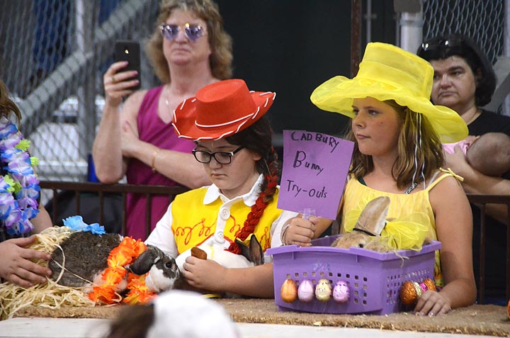 Scenes from the Greene County Fair — Rabbit costume contest