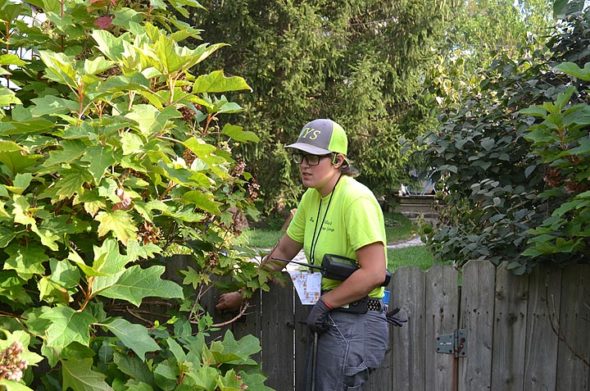 On the job for almost a year, Yellow Springs native Rose Pelzl is one of two Village employees who read water meters by hand, about 2,200 meters a month. About half are located outdoors, half indoors. Here she’s pictured closing a gate at a home on Elm Street, part of “route 1,” the first of 17 defined routes around the village. (Photo by Audrey Hackett)