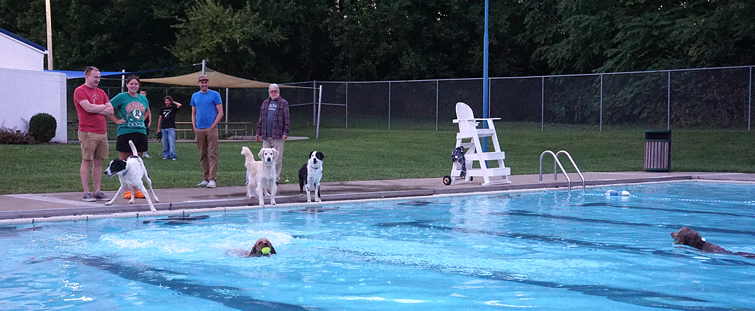 Doggy dip